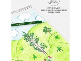 Набор карандашей цветных Гамма "Мультики" 12 цв., трехгранные, заточен., картон. упак., европодвес
