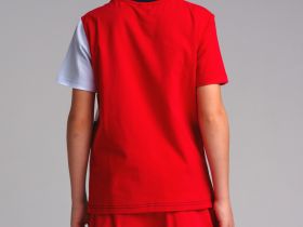 Фуфайка трикотажная для мальчиков (футболка)