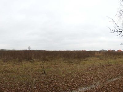 Остафьевское поле