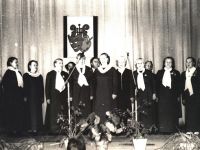 Районный дворец культуры Александро-Невского района