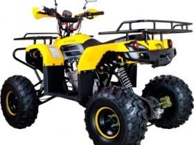 Квадроцикл AVANTIS Patriot M