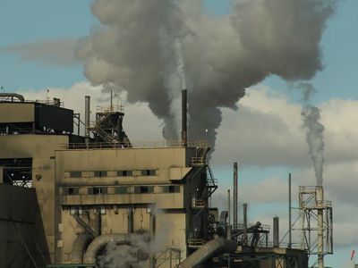 Что такое углеродный след и что должен делать каждый, чтобы его уменьшить?