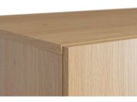 Распашной шкаф Ренар 2.1-100x260 Дуб Барбера
