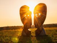 Концертная площадка «Дикая мята»