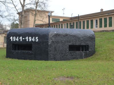 ДОТ № 248 рубежа «Ижора»
