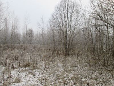 Памятное место, где в 60-х годах XIX в. происходила борьба крестьян за отрезки