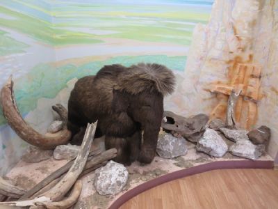 Ленский историко-краеведческий музей