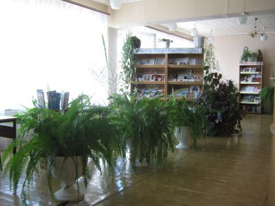 Межпоселенческая центральная районная библиотека с. Калтасы