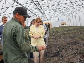 Крупнейший в Якутии лесопитомник открыли в селе Табага