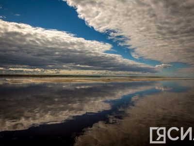 В Якутии пассажир парома прыгнул за борт спасать смартфон