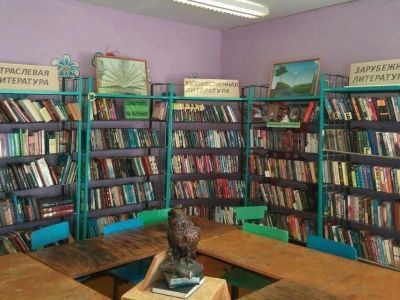 Свободинская сельская библиотека