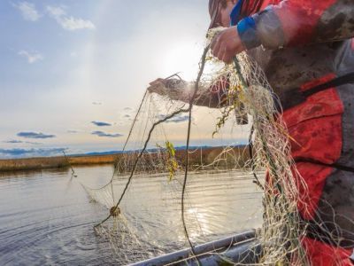 В мае на воду без сетей