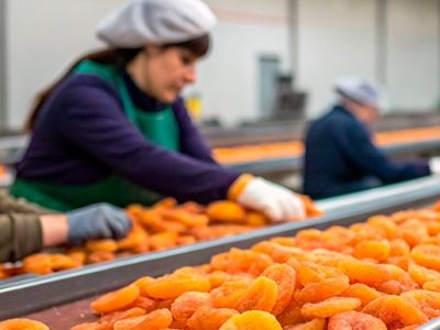 Роскачество очищает рынок сухофруктов