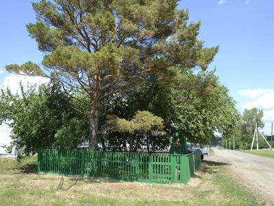 Братская могила партизан, расстрелянных колчаковцами в 1919 г.