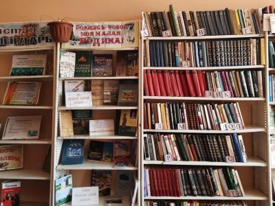 Большебисяринская поселенческая библиотека