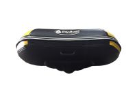 Лодка ПВХ BIG BOAT Regat 310