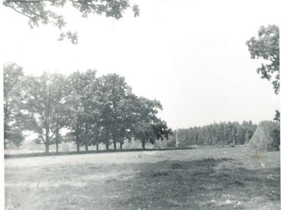 Усадьба П.Н. Дирина. Парк