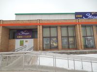 Кинотеатр «Звезда» с. Ельники