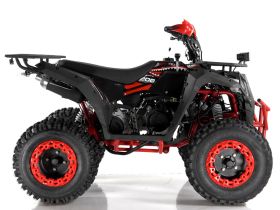 Квадроцикл WELS ATV Thunder 200 Evo X