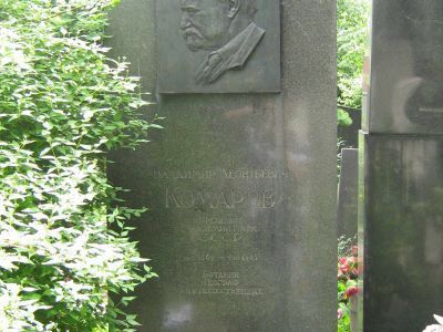 Могила Комарова Владимира Леонтьевича (1869-1945)