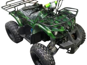 Электроквадроцикл AVANTIS ATV Classic 8E (1000W)