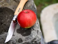 Нож складной Opinel №9 VRI Tradition Inox