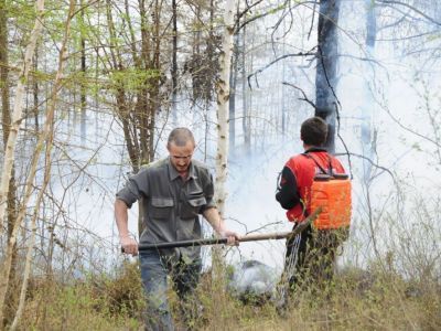 Требования пожарной безопасности в лесах просты и выполнимы