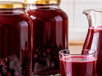 Рябиновый сок и компот: польза и вред для организма