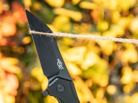 Нож складной Firebird by Ganzo FH31B-BK, сталь D2, рукоять G10, черный