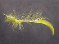 Пастель ультрамягкая "PanPastel"- Pearl Medium, черный fine 013