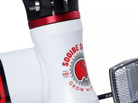 Детский велосипед Maxiscoo S007 Pro 14, год 2024, цвет Синий-Оранжевый