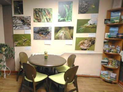 Калининская сельская модельная библиотека