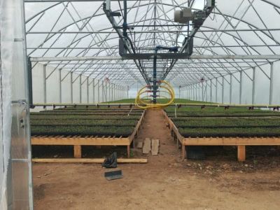 В Алданском районе открыли тепличный комплекс для выращивания хвойных саженцев