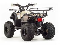 Квадроцикл MOTOLAND 125 Fox