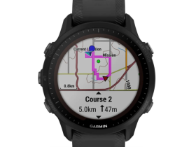 Смарт-часы Garmin Forerunner 955 Solar (Black) (010-02638-20)