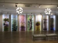 Отдел природы Костромского музея-заповедника