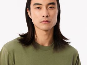 Мужская хлопковая футболка Lacoste с коротким рукавом