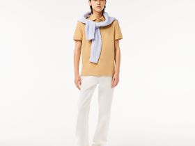 Мужское поло Lacoste PARIS стандартного кроя