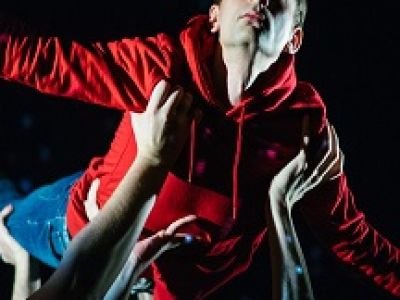 Загадочное ночное убийство собаки