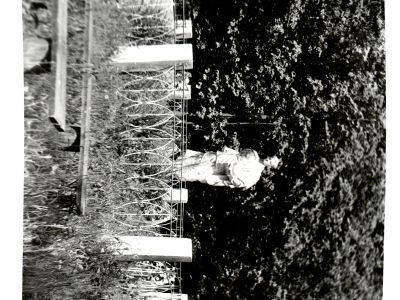 Братская могила