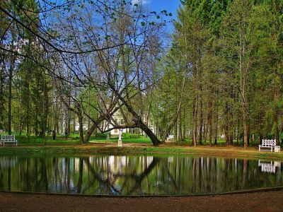 Парк с прудом