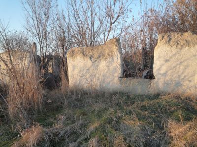 Дом, в котором родился Алейников