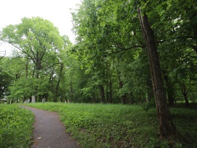 Парк «Добровольский»