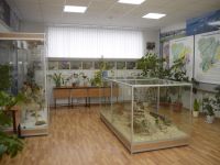 Историко-краеведческий музей г. Котельниково