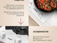 Газовая панель Hansa BHKW330300