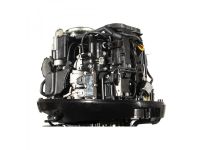 4х-тактный лодочный мотор GOLFSTREAM F100FEL-T EFI
