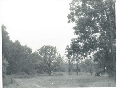 Парк усадебный регулярной планировки