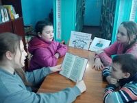 Библиотека-филиал № 7 д. Старая Козулька