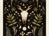 Открытка Дворникова А. "Череп оленя"