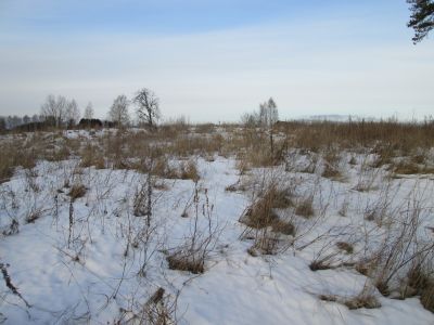 Памятное место, где в 1942 г. в тылу врага базировался партизанский аэродром